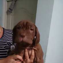 IMG-20150724-WA0004