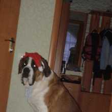 20131230_162732