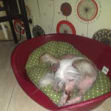 IMAG0625