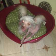 IMAG0621