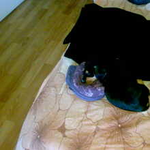 Dup(01)05012007060