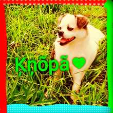 IMG-20150707-WA0000