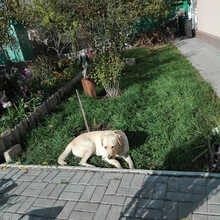 IMG_20201108_115943
