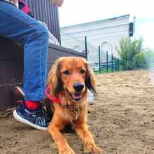 IMG_20250817_004142_538_edit_292385373470486