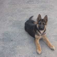 6mUBPGHKA5c