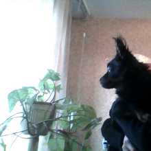 WIN_20150415_192039