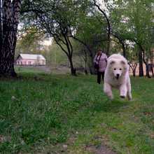 5 мес