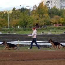 нлапмл