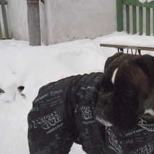 SAM_0591