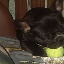 IMAG0289