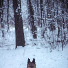 0_13a96e_eec9b830_orig