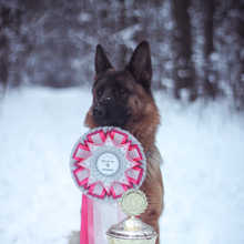 0_13a94d_3d776e57_orig