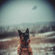 0_13a97a_3ee74fa5_orig