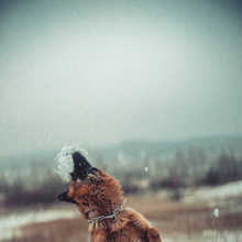 0_13a97c_8730cc0b_orig