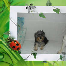 efd2efcabf40d375b11efaf4bed2fe05